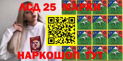 амф Заволжье