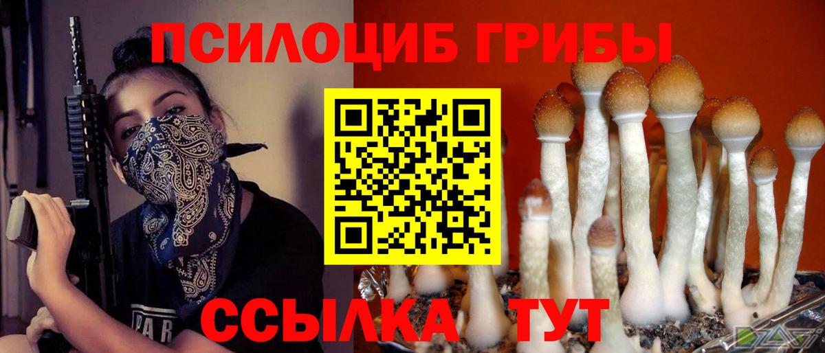 Галлюциногенные грибы GOLDEN TEACHER Магнитогорск
