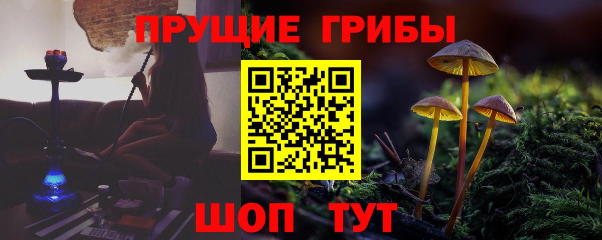 Магнитогорск  Псилоцибиновые грибы Cubensis  Вход с VPN  Псилоцибиновые грибы GOLDEN TEACHER 